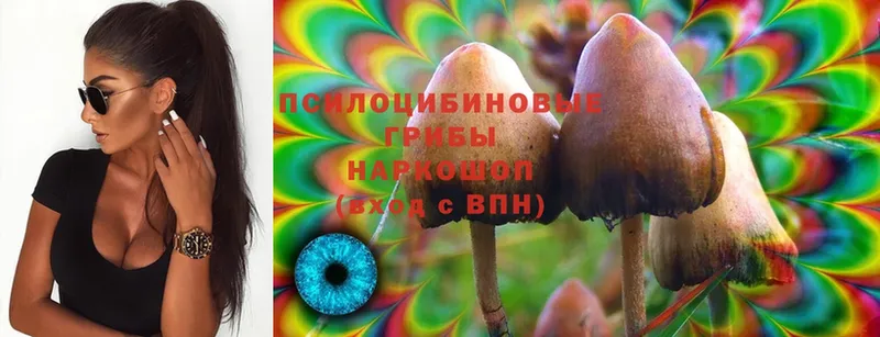 Псилоцибиновые грибы MAGIC MUSHROOMS  Абинск 